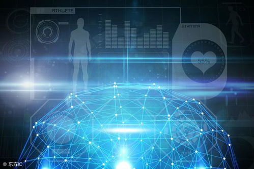 網(wǎng)絡(luò)信息技術(shù)開發(fā)的現(xiàn)狀與未來趨勢(shì)